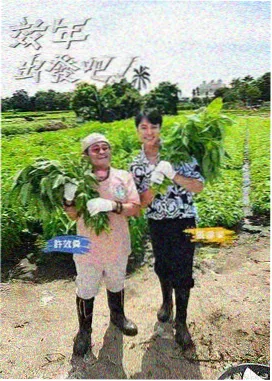 嫂子厨房日志 剧照
